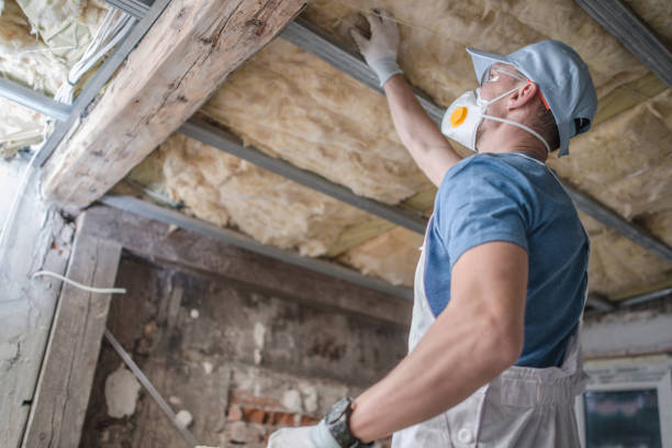 Best Insulation Replacement Services  in Hill City, KS