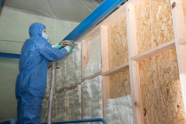 Best Insulation Contractors for Homes  in Hill City, KS